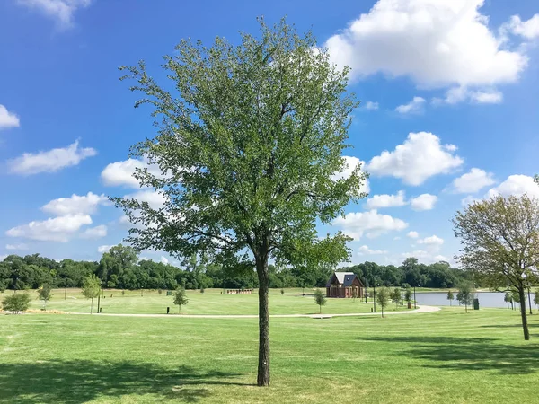 Parque Limpio Verde Junto Lago Con Sistema Senderos Refugio Pabellón — Foto de Stock