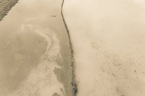 Вид Зверху Повені Висока Вода Березі Річки Пішохідній Стежці Приміському — стокове фото