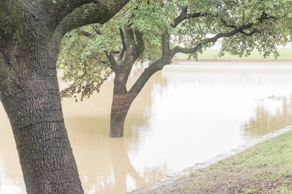 Überschwemmte Uferweg Der Nähe Flussufer Apartmentkomplex Hinterhof Vorort Dallas Fort — Stockfoto