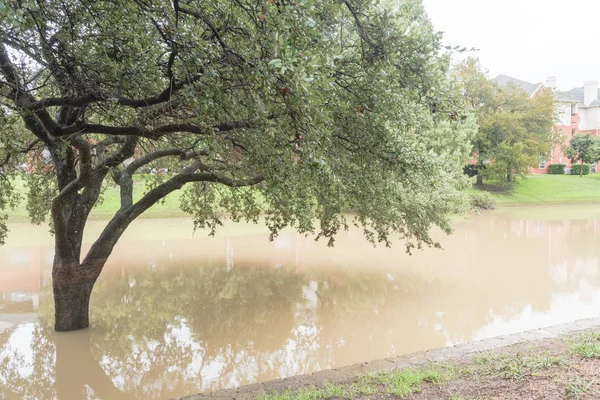 Caminho Ribeirinha Inundado Perto Quintal Complexo Apartamentos Ribeirinhos Suburbano Dallas — Fotografia de Stock
