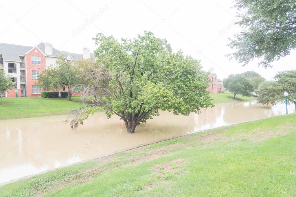 Swamped riverside pathway near riverside apartment complex backyard in suburban Dallas Fort Worth, Texas, USA. Live oak trees stand underwater