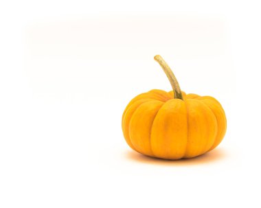 Stüdyo bir ham mini balkabağı beyaz arka plan üzerinde izole kök ile vurdu. Cadılar Bayramı dekorasyon nesne kopya alanı ile