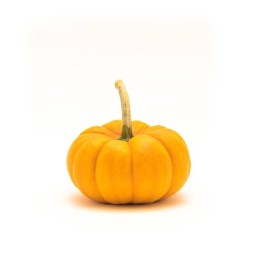 Stüdyo bir ham mini balkabağı beyaz arka plan üzerinde izole kök ile vurdu. Cadılar Bayramı dekorasyon nesne kopya alanı ile