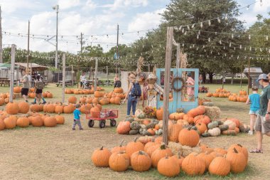 Grapevine, Tx, ABD-Ekim 6, 2018:Pumpkin bütün büyüklüktedir, ip ve dize ışıklar dekorasyon asma, Texas, ABD kırsal çiftliğinde şekillerle. Renkli tatil sonbahar kutlama arka plan, bulut mavi gökyüzü