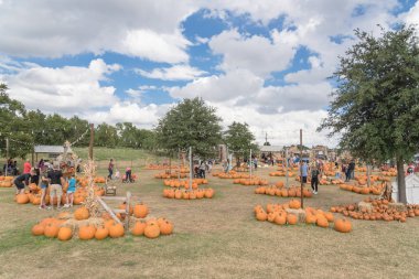 Grapevine, Tx, ABD-Ekim 6, 2018:Pumpkin bütün büyüklüktedir, ip ve dize ışıklar dekorasyon asma, Texas, ABD kırsal çiftliğinde şekillerle. Renkli tatil sonbahar kutlama arka plan, bulut mavi gökyüzü