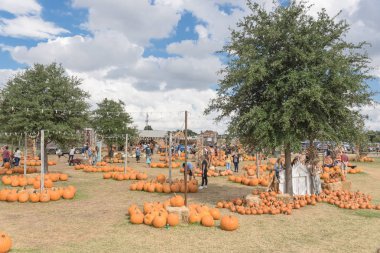 Grapevine, Tx, ABD-Ekim 6, 2018:Pumpkin bütün büyüklüktedir, ip ve dize ışıklar dekorasyon asma, Texas, ABD kırsal çiftliğinde şekillerle. Renkli tatil sonbahar kutlama arka plan, bulut mavi gökyüzü
