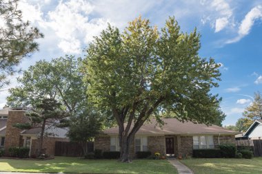 Konut banliyö Dallas-Fort Worth ekli garaj ile eve tek ilişkisi kesildi. Kuzey Amerika'da renkli sonbahar sonbahar yaprakları.