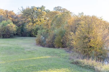 Sonbaharda yapraklar renk batımında Carrollton, Texas, ABD ile çarpıcı canlı kırsal park. Çimenli çim ve renkli sonbahar yaprakları