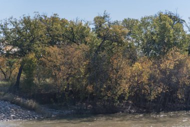 Canlı sonbahar yaprakları renk banliyö Dallas, Texas, ABD Nehri boyunca. Sarı ve turuncu sonbahar çarpıcı yansıma yaprakları su, Mevsimlik arka plan