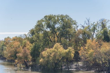 Canlı sonbahar yaprakları renk banliyö Dallas, Texas, ABD Nehri boyunca. Sarı ve turuncu sonbahar çarpıcı yansıma yaprakları su, Mevsimlik arka plan