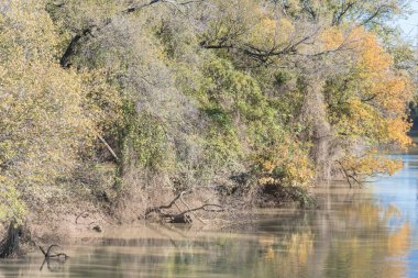 Canlı sonbahar yaprakları renk banliyö Dallas, Texas, ABD Nehri boyunca. Sarı ve turuncu sonbahar çarpıcı yansıma yaprakları su, Mevsimlik arka plan