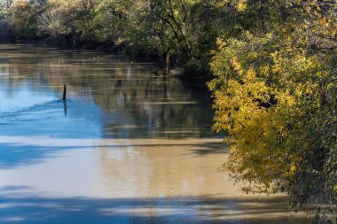 Canlı sonbahar yaprakları renk banliyö Dallas, Texas, ABD Nehri boyunca. Sarı ve turuncu sonbahar çarpıcı yansıma yaprakları su, Mevsimlik arka plan