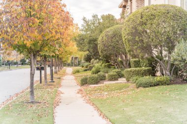 Canlı sarı ile yeni gelişme konut mahalle önünde güzel yolu düşmek yapraklar renk ve düzgün bir şekilde de kesilmiş manzara. Kaldırımda toplamak hazır komisyonlu yaprak yığını