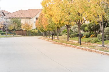 Canlı sarı ile yeni gelişme konut mahalle önünde güzel yolu düşmek yapraklar renk ve düzgün bir şekilde de kesilmiş manzara. Kaldırımda toplamak hazır komisyonlu yaprak yığını