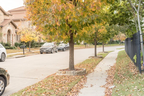 Ruhige Wohnsiedlung Dallas Texas Vorort Einem Bewölkten Herbsttag Gelbe Heruntergefallene — Stockfoto