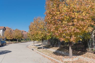 Yeni geliştirme alt bölümü ile Dallas, Texas banliyösü sakin yerleşim sokakta sonbahar güneşli. Sarı düşen yapraklar kaldırım mahalle. Amerika'da sokakta park edilmiş araba