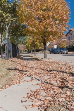 Kaldırımda yeni gelişme konut mahalle sokak yolu toplamak hazır kurutulmuş komisyonlu yaprak yığını. Canlı sarı sonbahar yaprakları renk