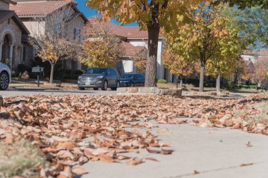 Kaldırımda yeni gelişme konut mahalle sokak yolu toplamak hazır kurutulmuş komisyonlu yaprak yığını. Canlı sarı sonbahar yaprakları renk