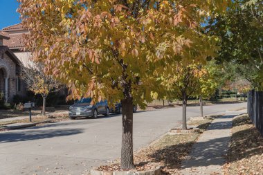 Yeni geliştirme alt bölümü ile Dallas, Texas banliyösü sakin yerleşim sokakta sonbahar güneşli. Sarı düşen yapraklar kaldırım mahalle. Amerika'da sokakta park edilmiş araba