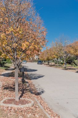Kaldırımda yeni gelişme konut mahalle sokak yolu toplamak hazır kurutulmuş komisyonlu yaprak yığını. Canlı sarı sonbahar yaprakları renk