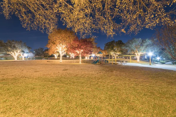 Luzes coloridas de árvores de férias ao ar livre e folhagem de outono em público — Fotografia de Stock