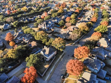 Bulanık görüntü semtte sonbahar sezonu yakınındaki Dallas, Texas, Amerika. Arka plan geliştirme topluluğunun renkli sonbahar yaprakları ile havadan görünümü