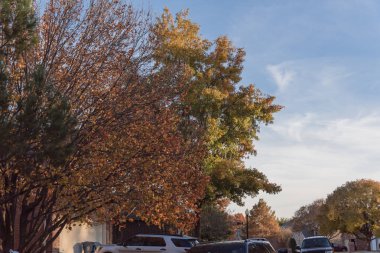 Dallas, Texas, Usa yakınındaki renkli sonbahar yaprakları çevrili Caddesi üzerinde park edilmiş araba ile konut evleri