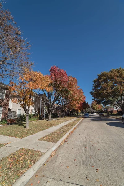 Bela Rua Bastante Residencial Dallas Suburbana Texas Eua Com Folhas — Fotografia de Stock