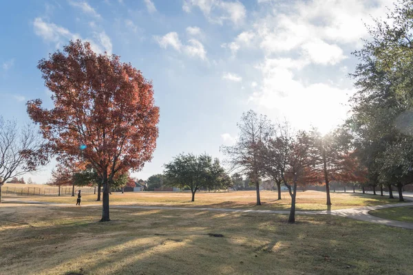 Beautiful Full City Park Residential Neighborhood Suburban Dallas Texas Usa — Stock Photo, Image