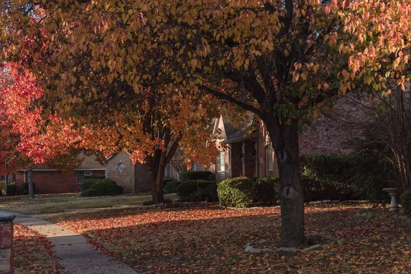 Buntes Herbstlaub Auf Dem Vorderen Rasen Eines Wohnhauses Der Nähe — Stockfoto