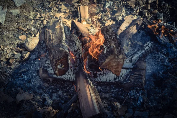 Filtrovaného snímku detail hořící oheň na venkovní táborák na sunn — Stock fotografie