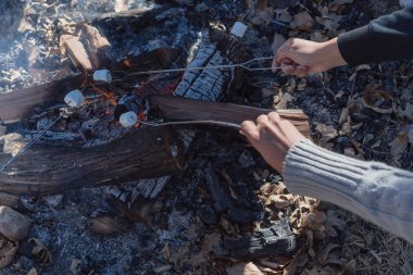 Genç kızlar bir yangın tatlı lokum güneşli bir günde sonbahar orman kavurma