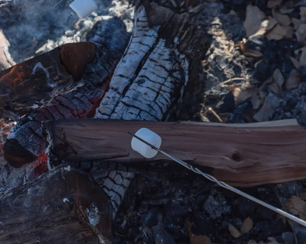 Marshmallow Špejle Pražení Nad Oheň Plameny Venkovní Táborák Lahodné Bílé — Stock fotografie