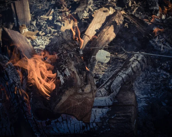 Урожайний Тон Зефір Шампурах Обсмажується Над Полум Вогню Під Відкритим — стокове фото