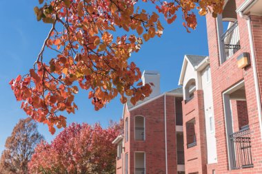 Tipik apartman binası Dallas, Texas, ABD karmaşık renkli sonbahar yaprakları ile sonbahar sezonu.