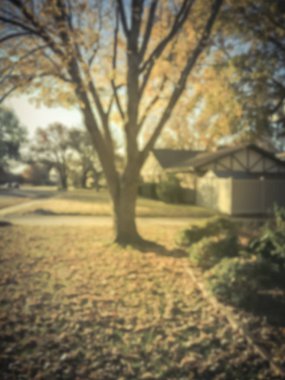 Vintage sesi soyut tipik Amerikan mahalle konut tek aile evi ve sokakta park edilmiş arabalar sıra ile bulanık. Renkli sonbahar yaprakları, Dallas, Texas banliyölerinde yeşillik düşmek