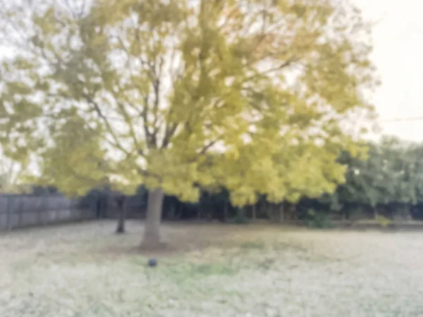 Bulanık Hareket Renkli Sonbahar Tek Ailelik Evin Arka Bahçesinde Ahşap — Stok fotoğraf