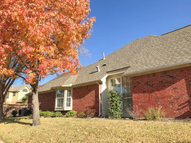 Renkli sonbahar ile tipik tek ailelik evin arka bahçesinde (Bradford armut veya Callery armut) Dallas, Texas, ABD bırakır
