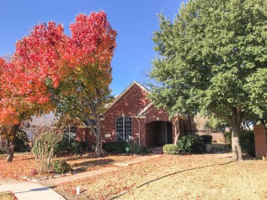 Kaldırım banliyö Dallas, Texas, ABD yakınındaki tipik tek aile evi. Ağaç ve zemin üzerinde kalın halı Bradford armut (Callery armut) ile renkli sonbahar yaprakları yaprakları