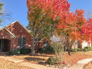 Kaldırım banliyö Dallas, Texas, ABD yakınındaki tipik tek aile evi. Ağaç ve zemin üzerinde kalın halı Bradford armut (Callery armut) ile renkli sonbahar yaprakları yaprakları