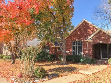 Kaldırım banliyö Dallas, Texas, ABD yakınındaki tipik tek aile evi. Ağaç ve zemin üzerinde kalın halı Bradford armut (Callery armut) ile renkli sonbahar yaprakları yaprakları