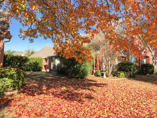 Beautiful single-family house in fall season near Dallas, Texas, USA. Thick carpet of Bradford Pear (Callery pear) leaves on tree and ground, sunny autumn morning