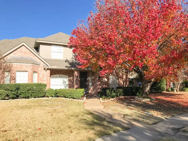 Beautiful single-family house in fall season near Dallas, Texas, USA. Thick carpet of Bradford Pear (Callery pear) leaves on tree and ground, sunny autumn morning