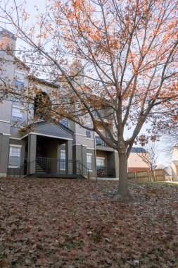 Apartman kompleksi kalın halı zemin kurutulmuş yaprakları ile sonbahar sezonunun sonunda arka bahçe manzarası. Dallas, Texas, Usa yakınındaki kiralama birimleri