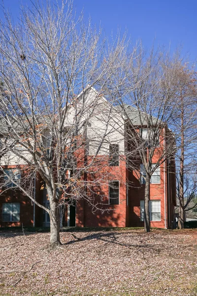 Backyard View Apartment Complex End Fall Season Thick Carpet Ground — Stock Photo, Image