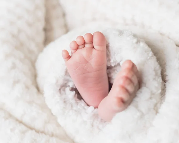 Pies Bebé Recién Nacidos Manta Macro Foto Los Dedos Los —  Fotos de Stock