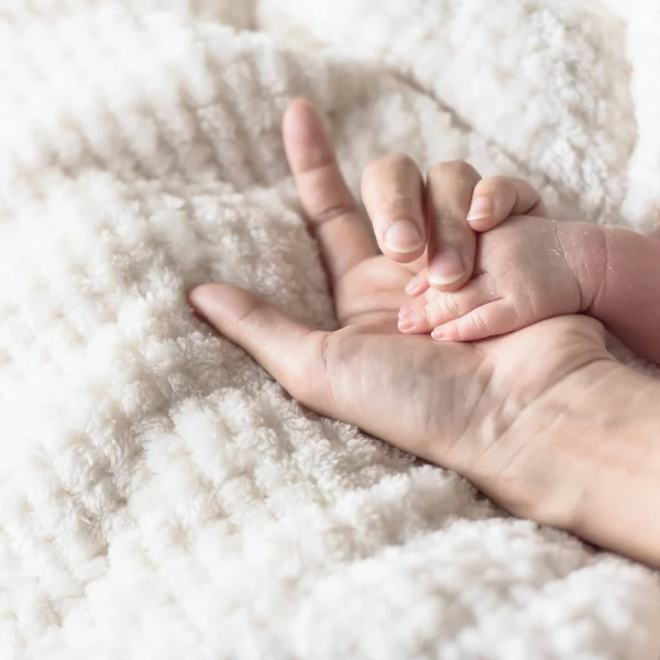 Madre Cercana Sosteniendo Bebé Con Una Pequeña Mano Palma Mano —  Fotos de Stock
