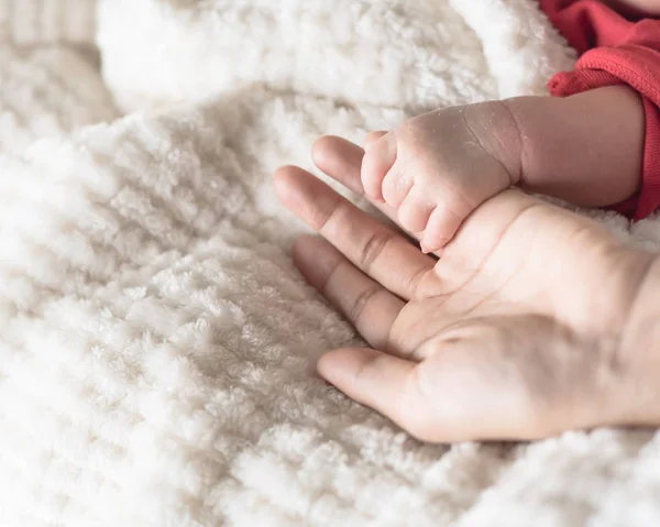 Madre Cercana Sosteniendo Bebé Con Una Pequeña Mano Palma Mano —  Fotos de Stock