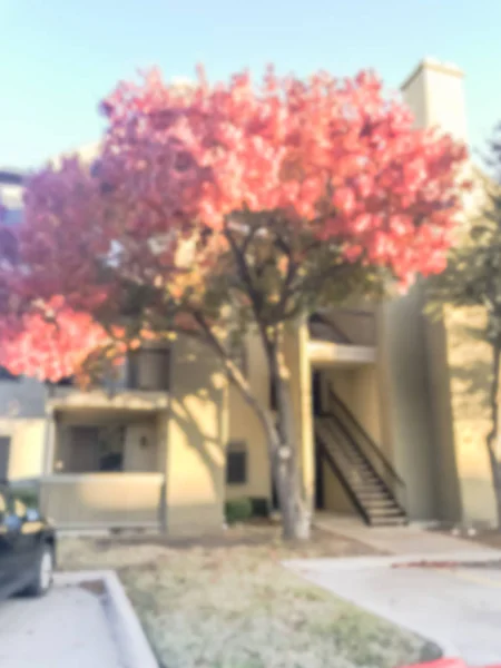 Bulanık Karmaşık Apartmanın Açık Otoparklar Renkli Sonbahar Yaprakları Banliyö Dallas — Stok fotoğraf