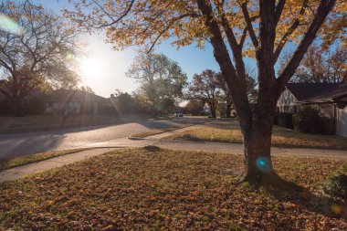 Güzel ve rahat semtte çiçek Höyük, Texas, ABD sonbahar sezonu. Sessiz yaya geçit ve güzel sonbahar yaprakları